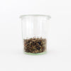 Sleepy Dream Time Tea